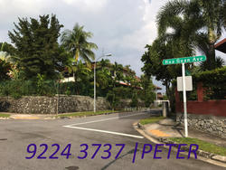Hong Kong Park (D21), Detached #137889462
